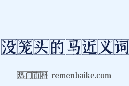 没笼头的马近义词是什么意思的图片